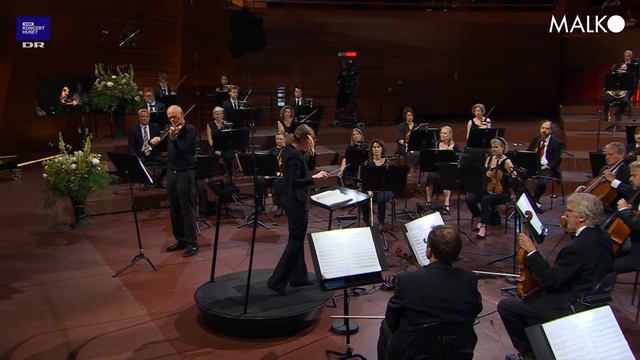 Malko Competition 2021, semi-final: Katharina Wincor, Sibelius смотреть онлайн