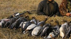 ✅?КАК СТРЕЛЯТЬ ГУСЯ НА 100м?  ГУСИНЫЕ НОМЕРА ДРОБИ!