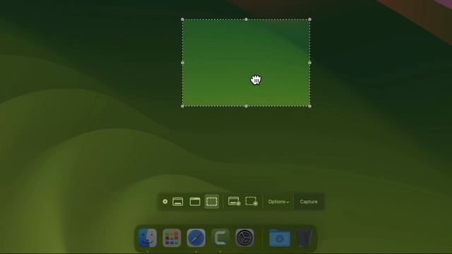 Use Screenshot Toolbar To Take Screenshot 2024 смотреть онлайн
