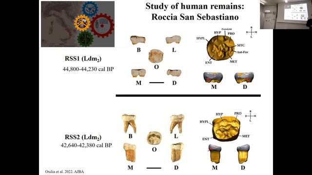 Unravelling the earliest migration of Homo sapiens in southern Europe - Stefano Benazzi смотреть онлайн