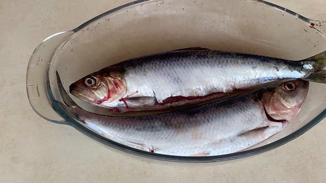 ДУНАЙСКАЯ СЕЛЁДОЧКА?, СОЛИМ И ВКУСНО КУШАЕМ/#селедка,#дунайка,#малосольнаядунайка,#всеполучится, смотреть онлайн