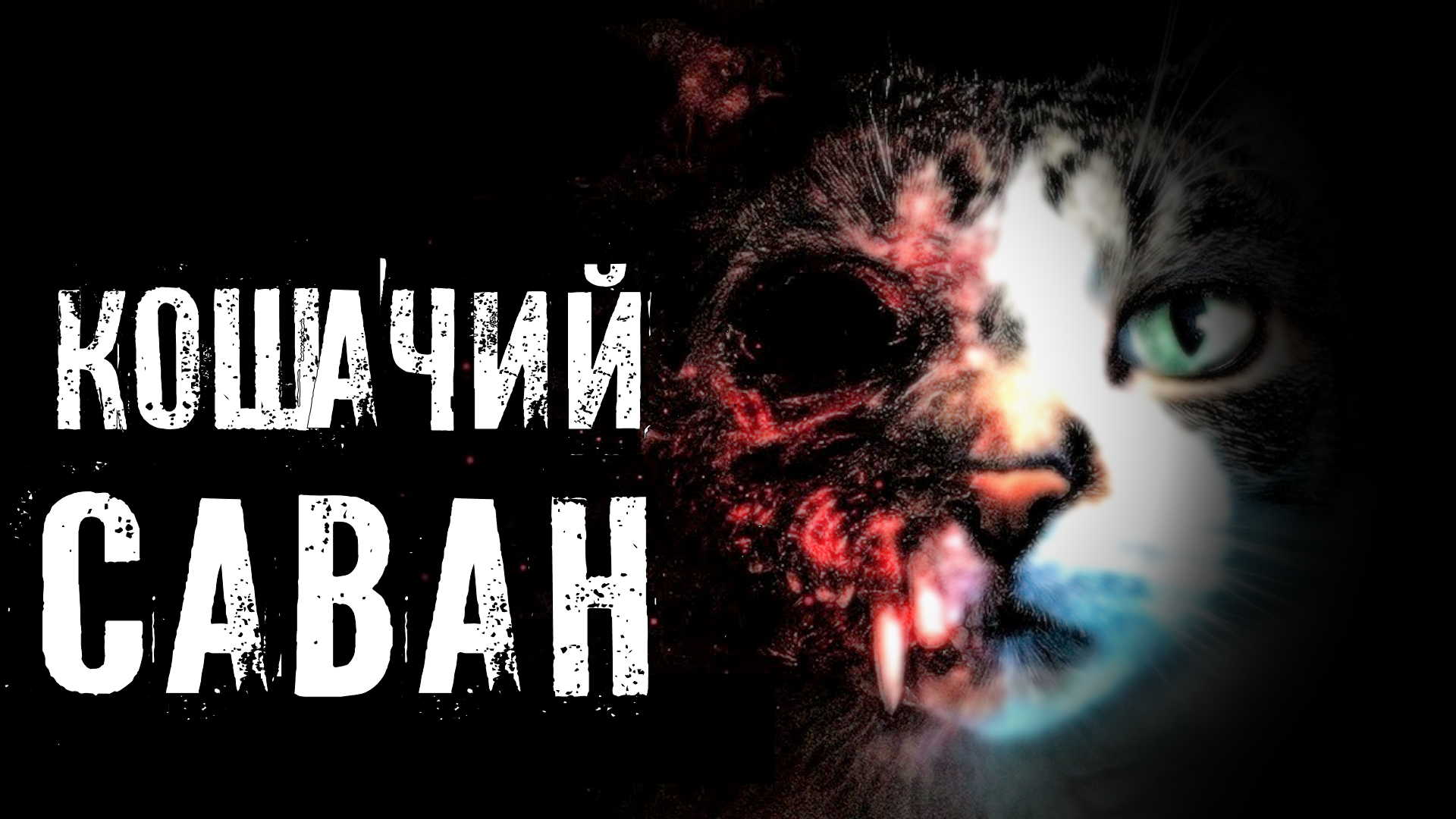 Страшные Истории. КОШАЧИЙ САВАН. Ужасы. смотреть онлайн