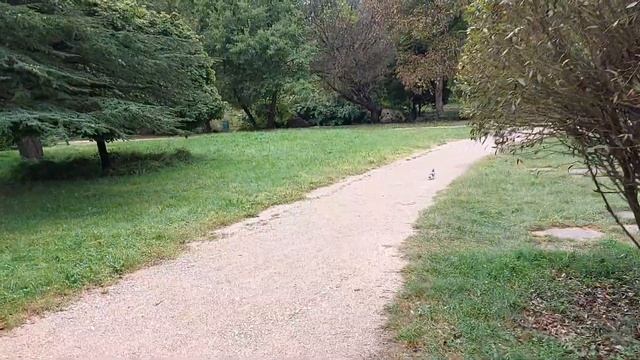 гуляем в Воронцовке Симферополь, сентябрь в Крыму смотреть онлайн