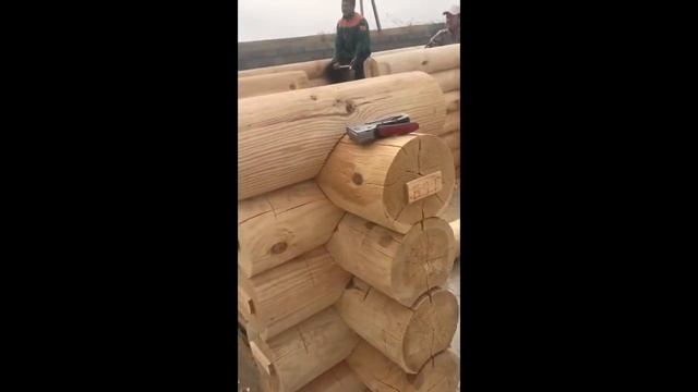 Строительство деревянного дома из оцилиндрованного бревна