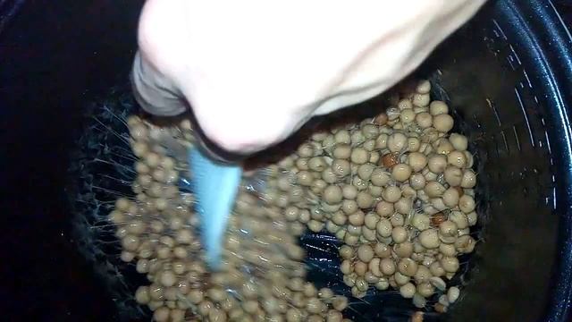 Домашние рецепты