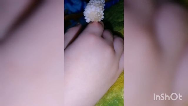 Удалила бородавку у сына за 18 дней! Веруклин - эффективное средство от бородавок! смотреть онлайн