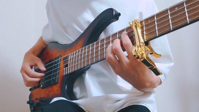 Solo bass 01 with 「SHIBA INU CAPO」 смотреть онлайн