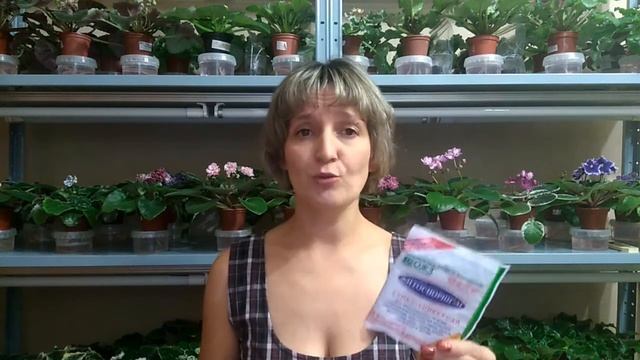 Мастер-класс Приготовление грунта для фиалок смотреть онлайн