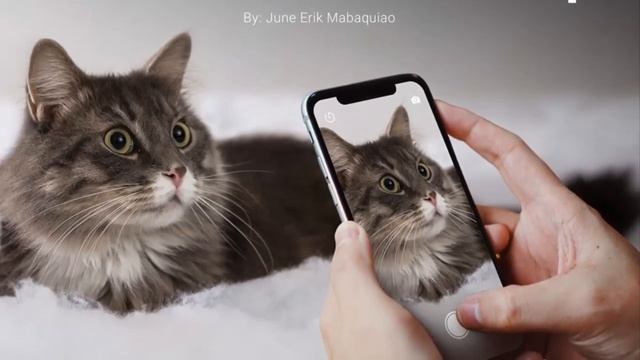 Free Download Photoshop – iPhone X Free Mockup смотреть онлайн