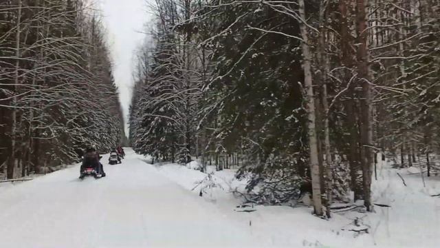 снегоходный тур в Чухломские терема "Золото Костромской тайги" 23-24 февраля 2020 смотреть онлайн