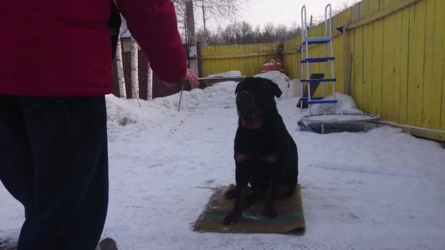 КОМАНДА "МЕСТО".ОДИН ИЗ ВАРИАНТОВ. смотреть онлайн