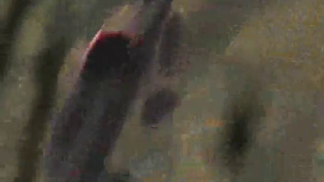 Охота, отдых на Сахалине, часть 2 смотреть онлайн