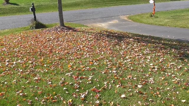 (3) SnapFresh Battery Powered Tools Testing And Review