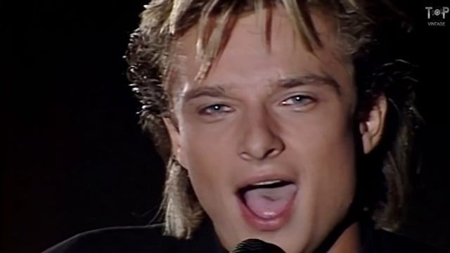 David Hallyday 