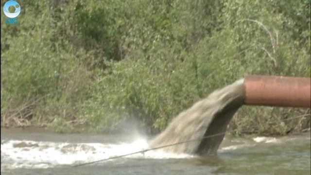 Какие животные паслись по берегам сибирских рек в доисторические времена? смотреть онлайн