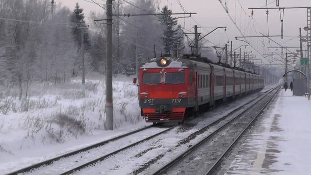 Электропоезд ЭР2Т-7137 платформа Дачное смотреть онлайн