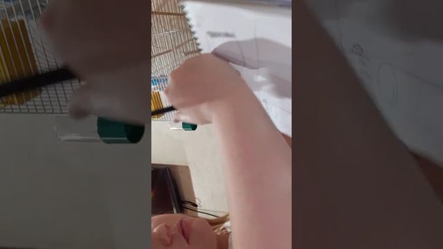 Учимся рисовать симметричные фигуры смотреть онлайн