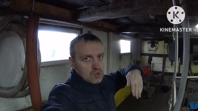 ‼️Как выбрать поросёнка на племя ?‼️На что обратить особое внимание ? смотреть онлайн