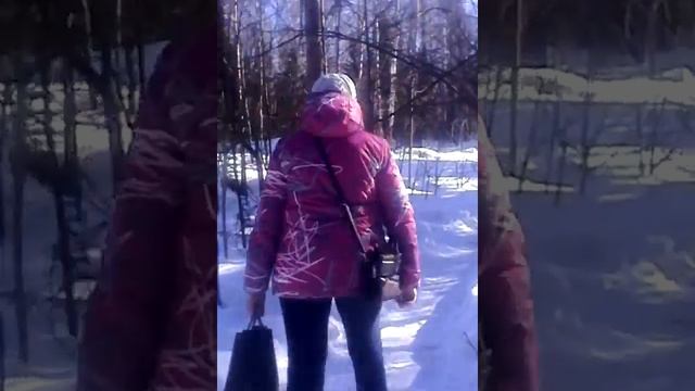 ГУЛЯЕМ В ЛЕСУ И КОРМУШКА ДЛЯ ПТИЦ смотреть онлайн