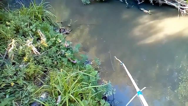 САМОДЕЛЬНАЯ УДОЧКА ТЕСТ. РЫБАЛКА НА КАРАСЯ смотреть онлайн