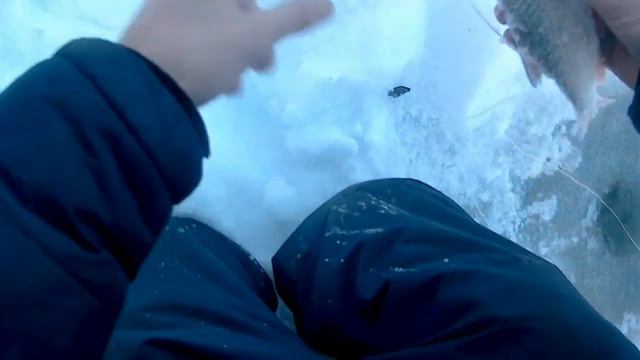 Рыбалка на косынки зимой смотреть онлайн