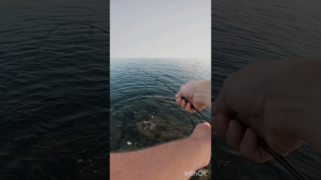 Первый морской карась #rockfishing смотреть онлайн