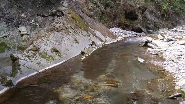 река Псахо возле Ивановского водопада, Сочи, 23.03.20 смотреть онлайн