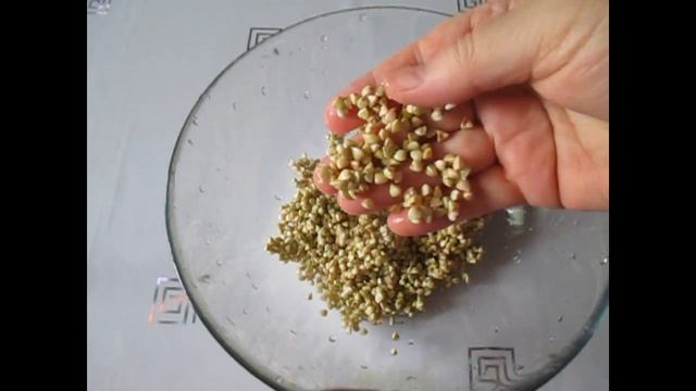 Как прорастить зелёную гречку в банке смотреть онлайн