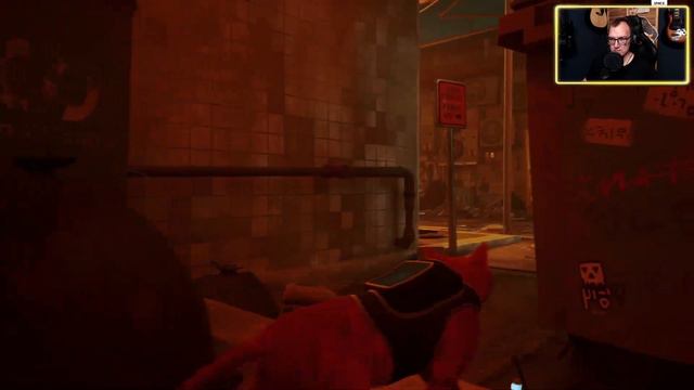 Киберкот **** **** в *** | Прохождение Stray | Часть 1 #brokenreceiver смотреть онлайн