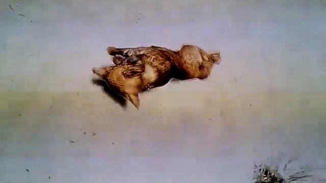 snow fox owed on skyrim смотреть онлайн