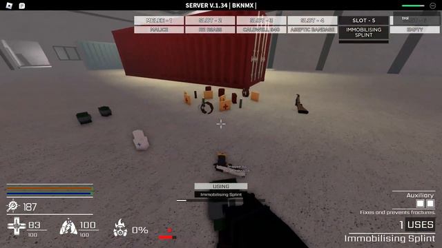 Decaying Winter: Immolator Evacuation solo win смотреть онлайн