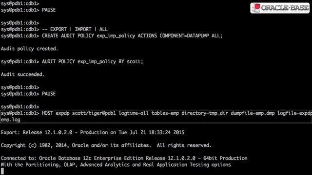 Audit Data Pump Operations in Oracle Database 12c смотреть онлайн