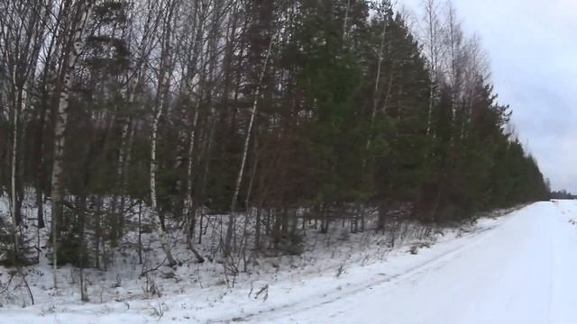 Охота на зайца с Русскими гончими 26 ноября 2021 смотреть онлайн