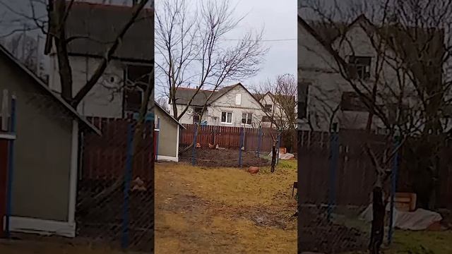 Мокрый Новый Год? смотреть онлайн