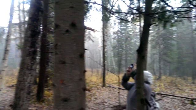 Немец офигевает в России - E238 - Екатеринбург - день 10 - видео 25 - Оленьи ручьи смотреть онлайн