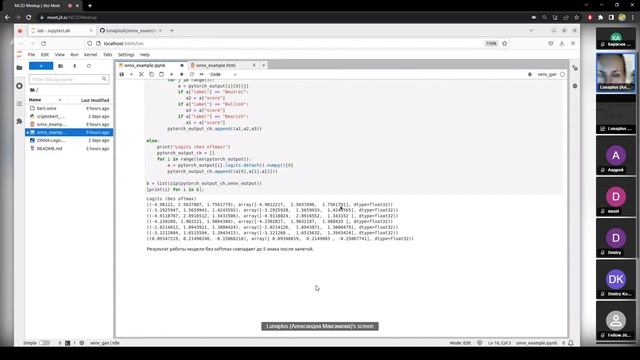 ONNX - ONNX Runtime, простой пример. смотреть онлайн