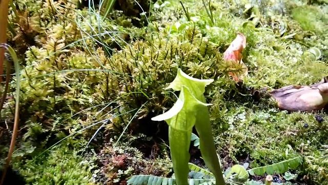 23 февраля 2020 г. смотреть онлайн