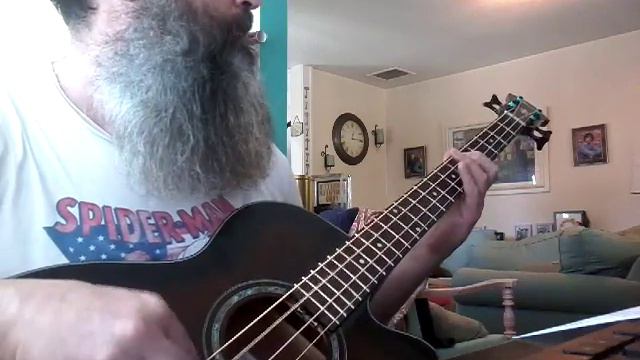 The Police "Roxanne" on the acoustic bass смотреть онлайн