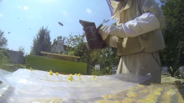 Пасека 2018. Первые осенние работы. Подготовка пчел к зиме. смотреть онлайн