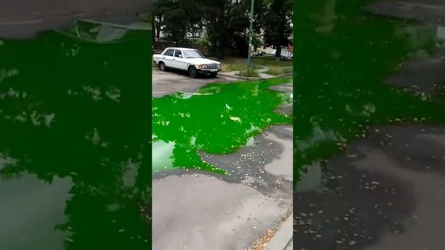 Лужа со странной водой! Что это? смотреть онлайн