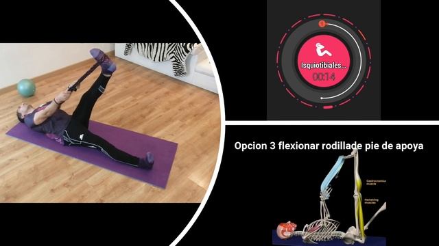 STRETCHING 1. RUTINA DE ESTIRAMIENTOS смотреть онлайн