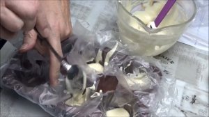 Размножение дрожжей. Производим дрожжи своими руками