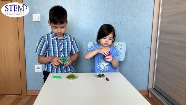 Сравниваем листья яблони и сливы смотреть онлайн