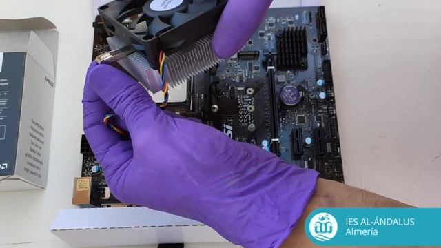 Montaje de Procesador AMD socket AM4 y disipador. смотреть онлайн