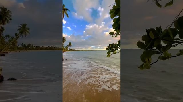 любимое морееее