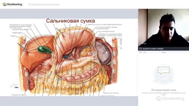 Топографическая анатомия. Сальниковая сумка. Малый и большой сальник. смотреть онлайн