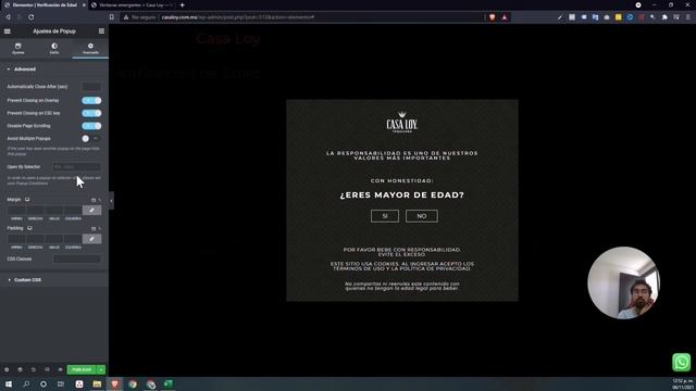 Pop Up de Verificación de edad con Elementor смотреть онлайн