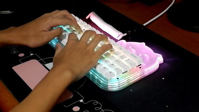Bongo Cat Keyboard Stacked Acrylic with lubed Glorious Typing Test смотреть онлайн