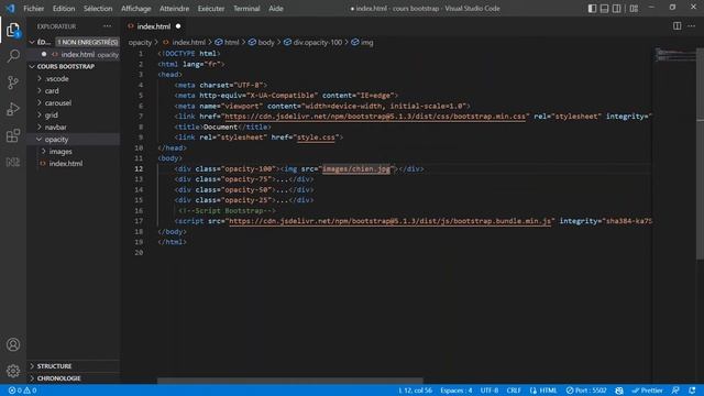 Bootstrap - qu'est ce que l'opacité ? смотреть онлайн