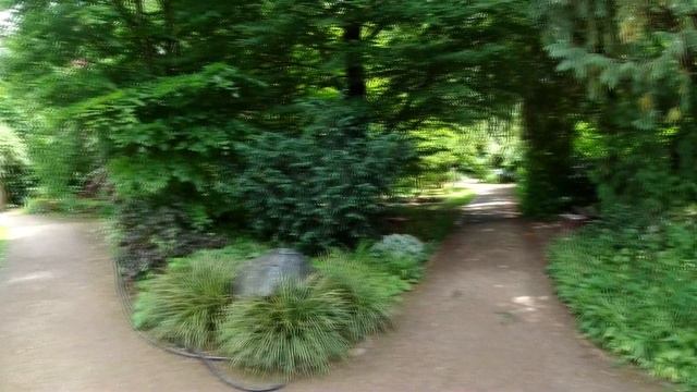 ГДЕ ОТДОХНУТЬ / БОТАНИЧЕСКИЙ САД ЭРЛАНГЕН /ГЕРМАНИЯ / Botanischer Garten Erlangen / МАЙ 2020 смотреть онлайн